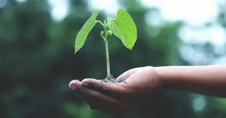 Levegő- és zajvédelmi laboratórium